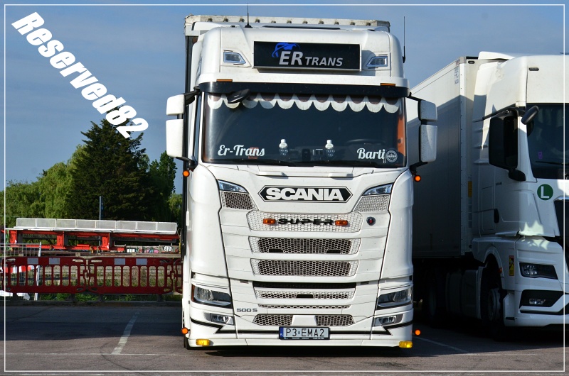 DSC_7357 Er Trans.JPG