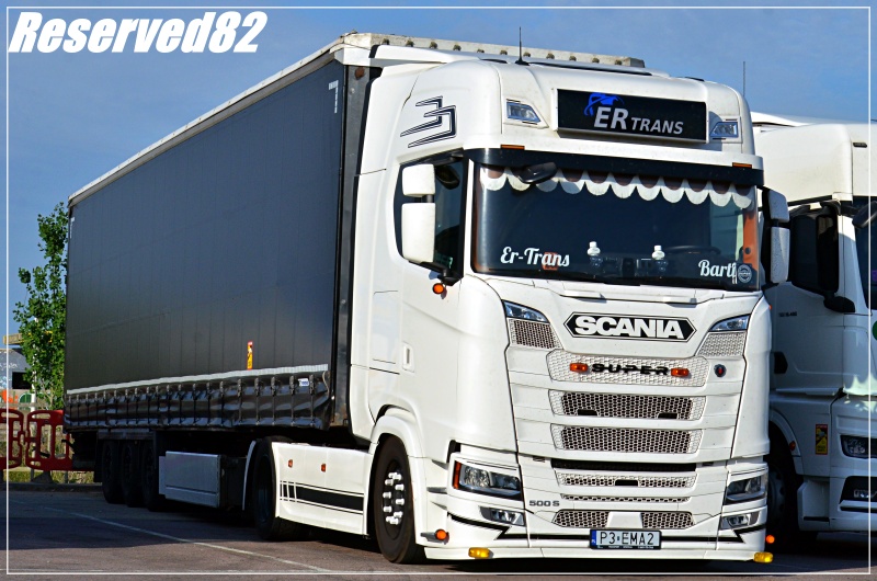 DSC_7354 Er trans.JPG