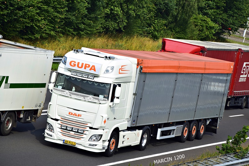 _DSC5039-crop-GUPA-DAF XF 106.JPG
