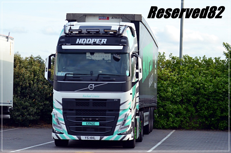 DSC_8204 Hooper2.JPG