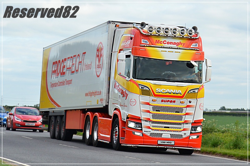 DSC_8429 Mc Conaghy.JPG