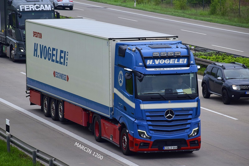 _DSC3858 H.VOGELEI-crop-ActrosL.JPG