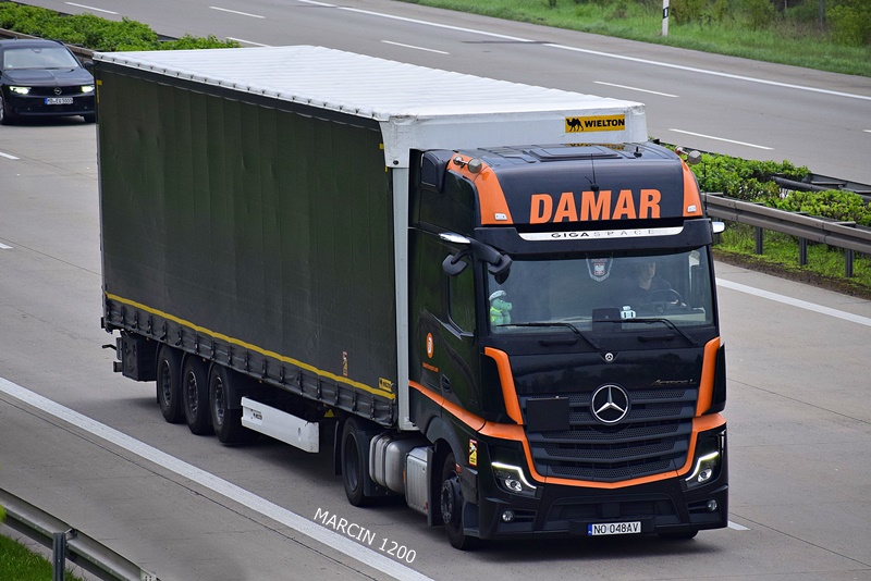 _DSC3859 DAMAR-crop-ActrosL.JPG