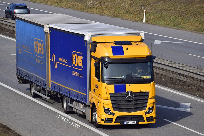 _DSC2166 BORS-crop-ActrosL.JPG