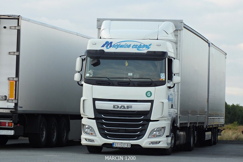 DSCF6151-crop-Mrežnica-Export-DAF XF 106.jpg