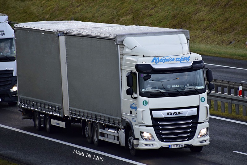 _DSC1090-crop-Mrežnica-Export-DAF XF 106 II.JPG