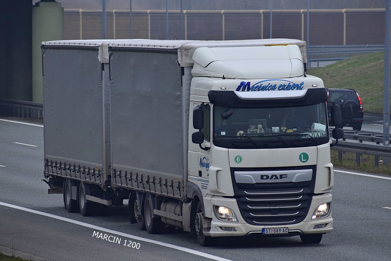 _DSC00011 (72)-crop-Mrežnica-Export-DAF XF 106 II.JPG