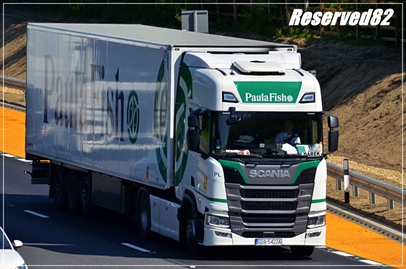 DSC_9913 Paulafish.JPG