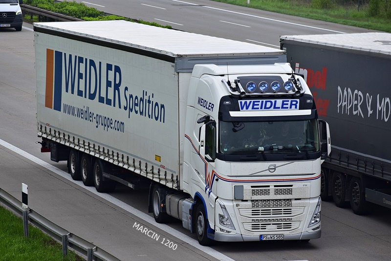 _DSC4034 WEIDLER-crop-VOLVO FHV.JPG