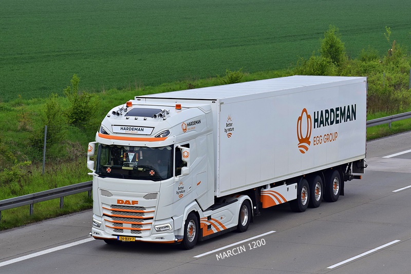 _DSC3985 HARDEMAN EGG-crop-DAF XG.JPG