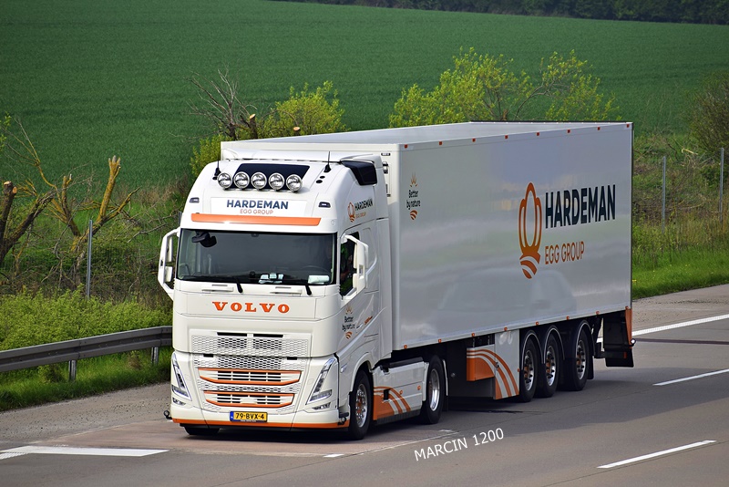 _DSC4384 HARDEMAN-crop-VOLVO FHV.JPG
