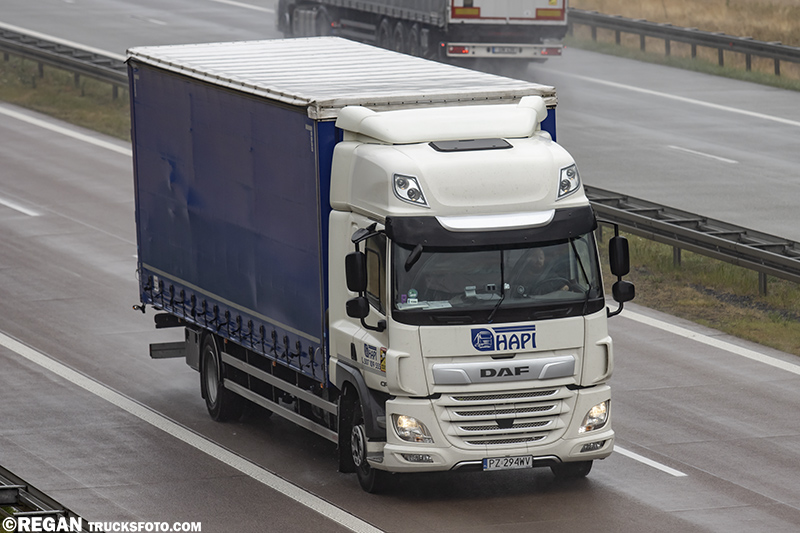 DAF CF - Hapi.jpg