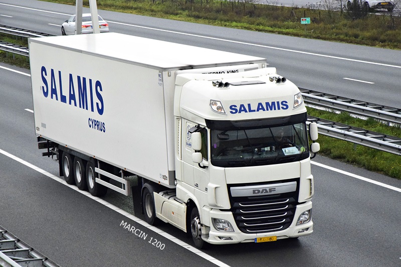 _DSC9964-crop-SALAMIS-DAF XF 106.JPG