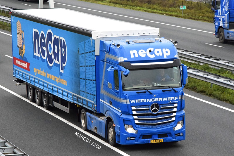 _DSC0398-crop-Necap-ACTROS MPIV.JPG