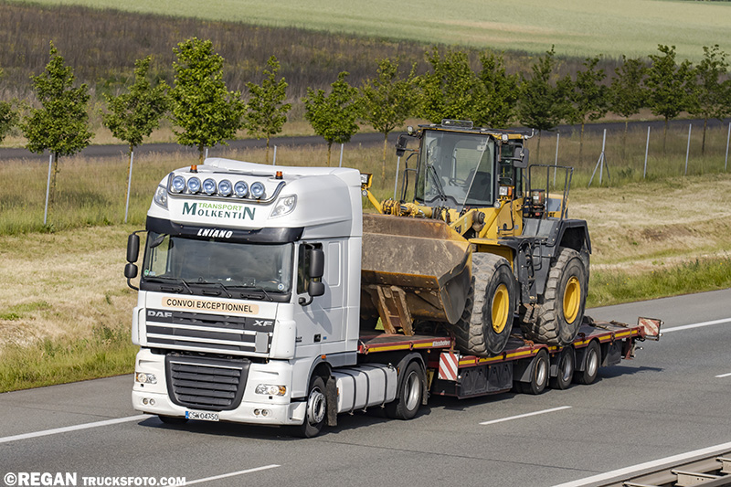 DAF XF105 - Molkentin.jpg