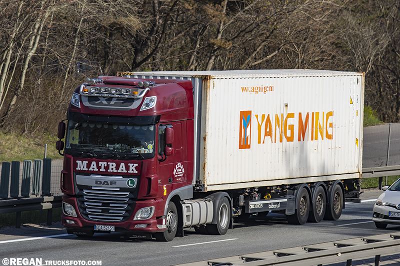 DAF XF Matrak.jpg
