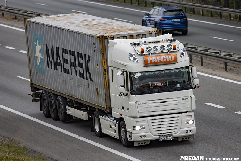 DAF XF105 - Pafcio.jpg