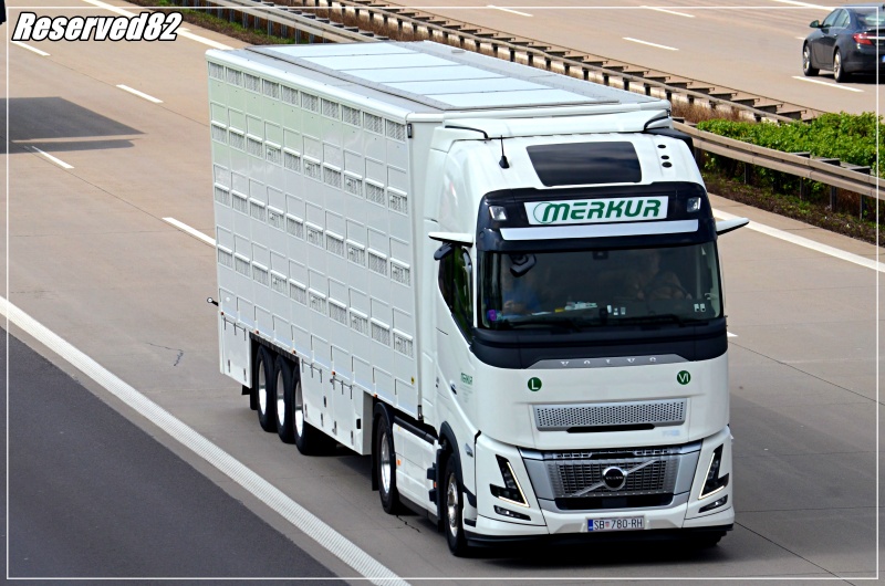 DSC_8713.JPG Merkury.JPG