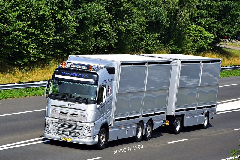 _DSC5122-crop-BROEKMAN B.V. -VOLVO FHIV.JPG