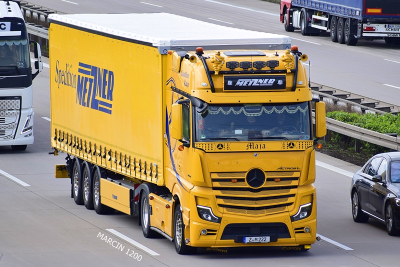 _DSC4925 METZNER-crop-ActrosL.JPG