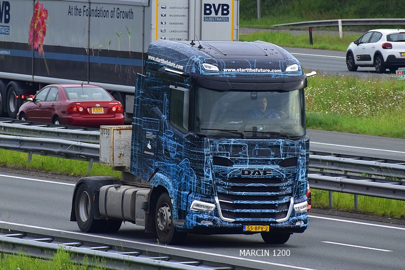 _DSC3726 DAF-crop-DEMO.JPG