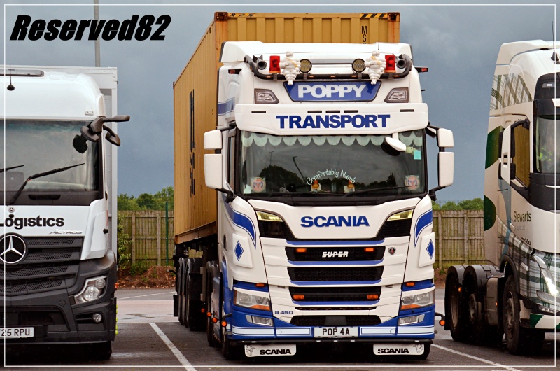DSC_3994 Poppy  Transport.JPG
