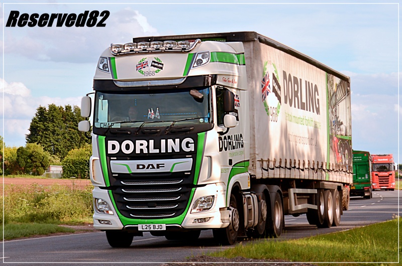 DSC_4171 Dorling.JPG