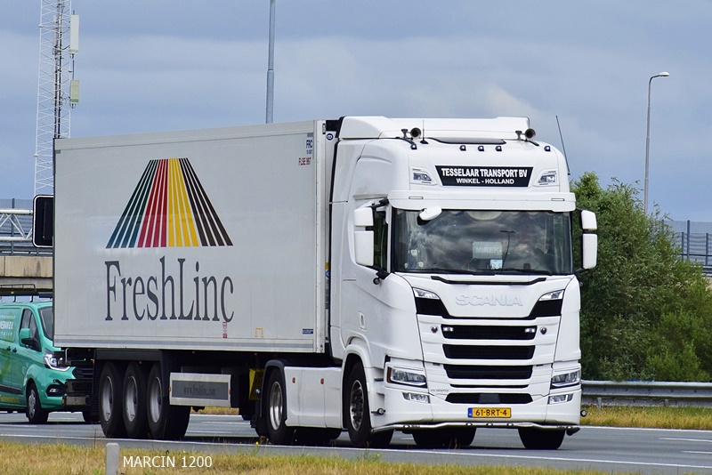 _DSC6770 TESSELAAR TRANSPORT BV-crop-SCANIA R500 NG.JPG