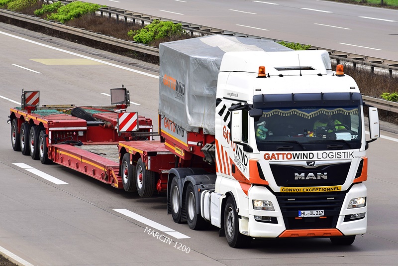 _DSC5719 GATTO WIND LOGISTIK-crop-MAN TGX.JPG