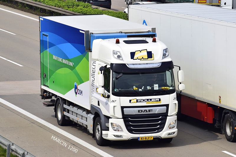 _DSC4589 MULLER-crop-DAF CF.JPG