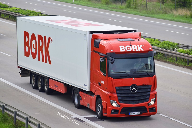 _DSC3934 BORK-crop-ActrosL.JPG