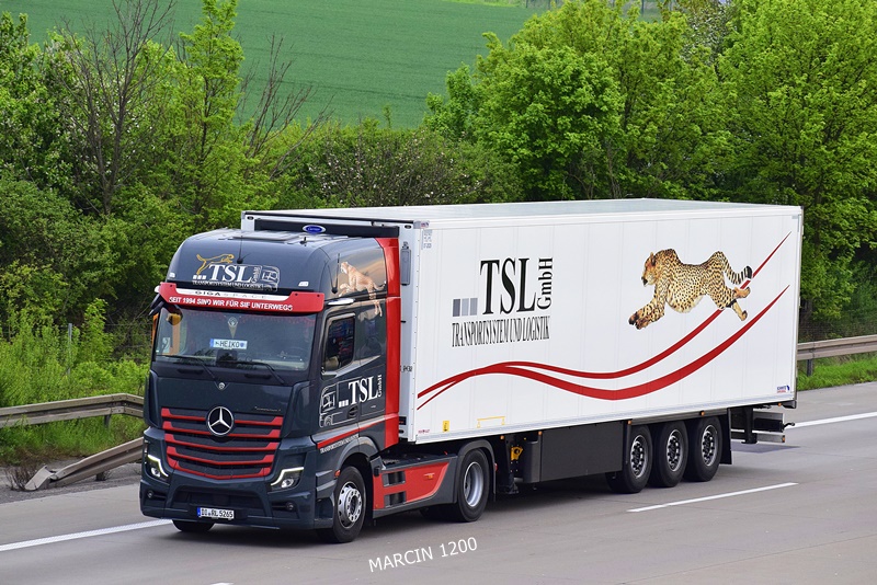 _DSC5385 TSL-crop-ActrosL.JPG