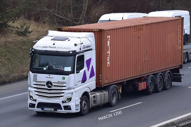 _DSC1795 VIDAVI-crop-ActrosL.JPG