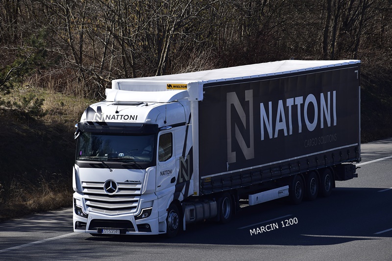 _DSC1935 NATTONI-crop-ActrosL-WIELTON.JPG