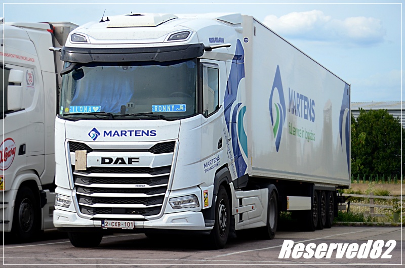 DSC_7472 Martens.JPG