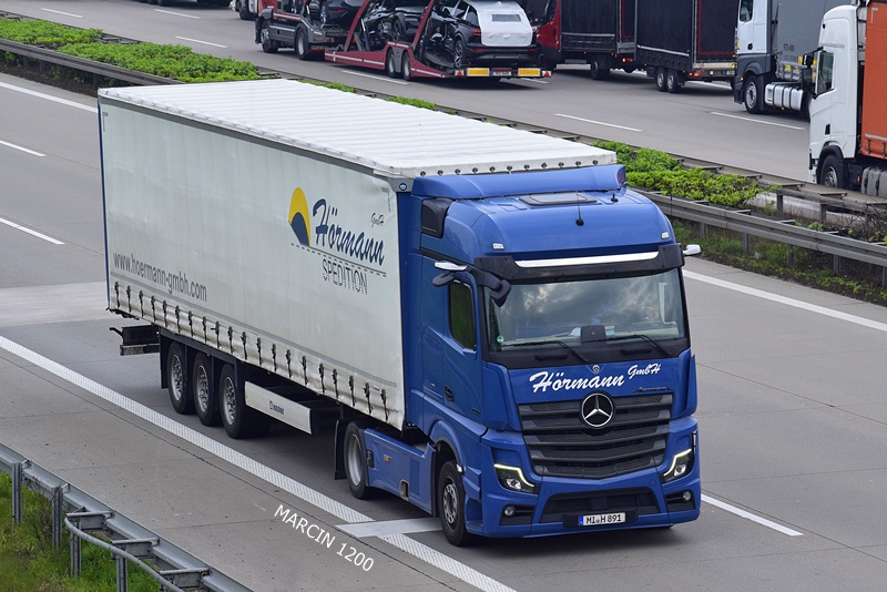 _DSC3956 HORMANN-crop-ActrosL.JPG