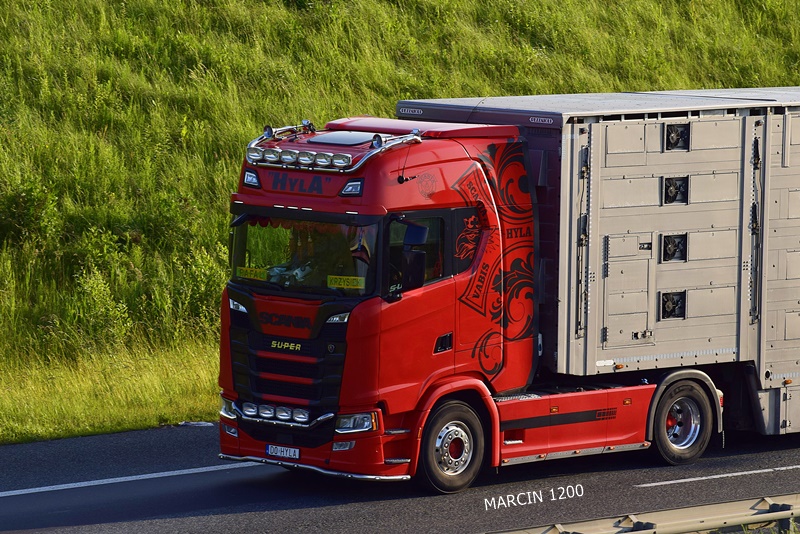 _DSC6219 HYLA-crop-SCANIA S.JPG