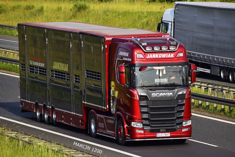 _DSC6170 JANKOWIAK-crop-SCANIA S650 V8-TRANSPORT ŻYWCA.JPG