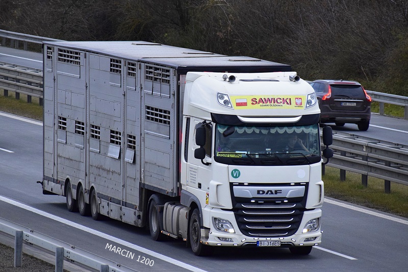 _DSC0773 SAWICKI-crop-DAF XF 106 II.JPG
