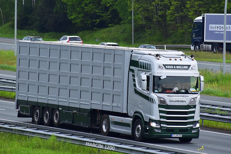 _DSC3975 KEUS&MOLLINK-crop-SCANIA S650 V8 NG.JPG