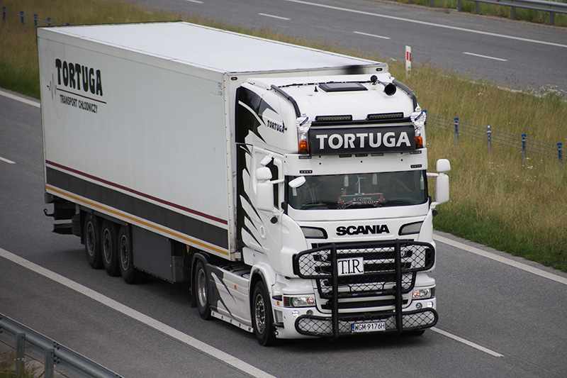 Scania R Tortuga.jpg