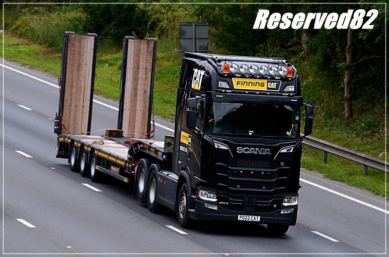 DSC_1046 finning cat.JPG