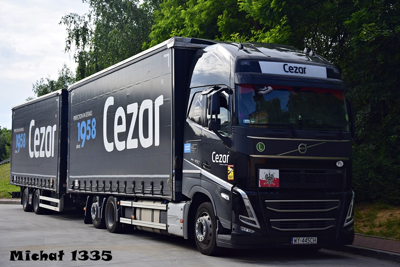 _DSC6865 CEZAR-VOLVO FH 5.JPG