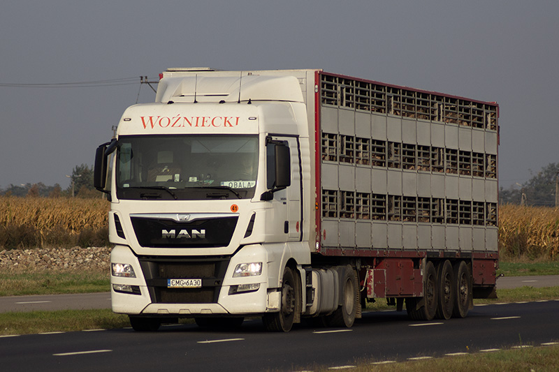 MAN Wozniecki.jpg