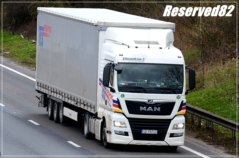 DSC_3808 Tss transport.JPG