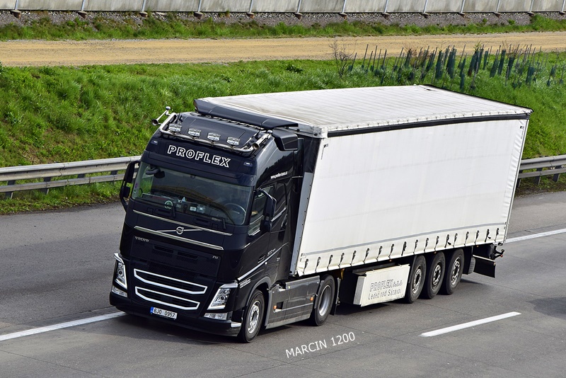 _DSC2747-crop-PROFLEX-crop-VOLVO FHIV.JPG
