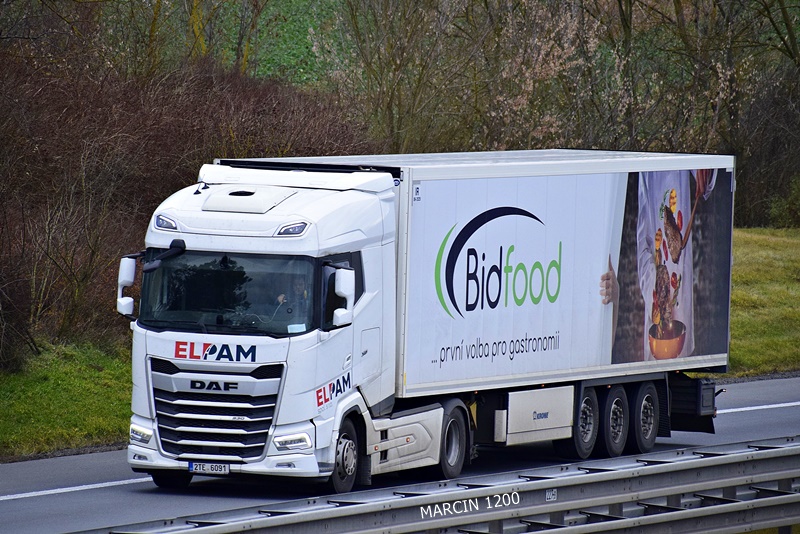 _DSC0740 ELPAM-crop-daf xg-krone.JPG