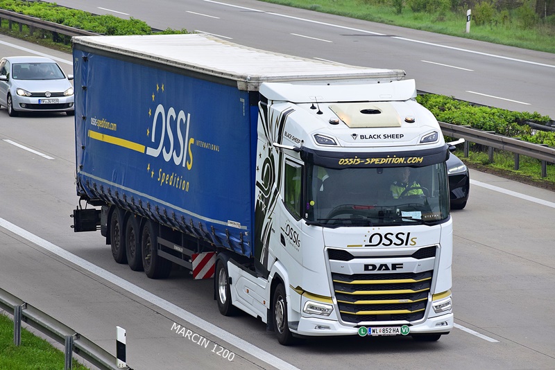 _DSC4099 OSSIS-crop-DAF XG.JPG