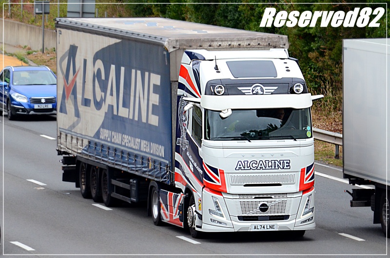 DSC_9055 Alcaline.JPG