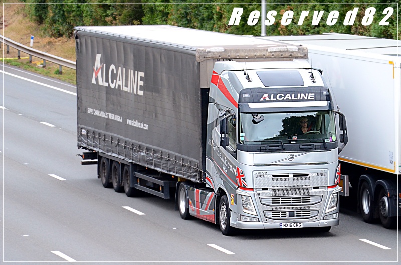 DSC_9104 alcaline.JPG